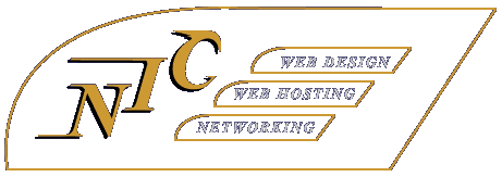 NIC Solutions logo